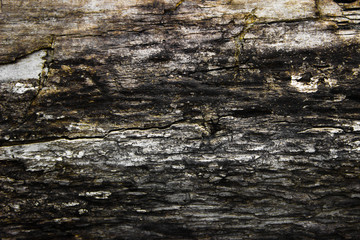 texture of wood and boards