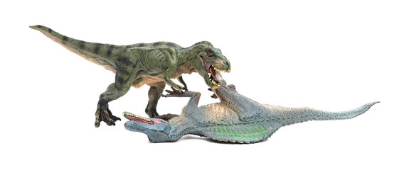 tyrannosaurus fights with spinosaurus on a white background