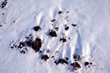 Black earth cowered with white snow, winter landscape detail, natural abstract background, close up detail