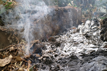 smoke of burn brown dry leaves in a mess place