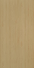 Fototapeta premium Wood wallpaper texture background