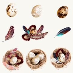 Collection of vector easter eggs with nests and feathers for design
