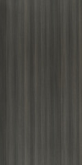 Obraz premium Wood wallpaper texture background