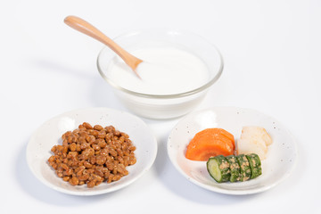 発酵食品　細菌