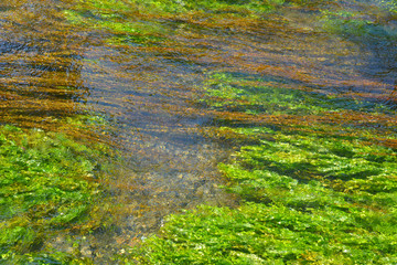 River of L'Isle sur la Sorgue, a commune is in the arrondissement of Avignon within the département of Vaucluse and the région of Provence-Alpes-Côte d'Azur.