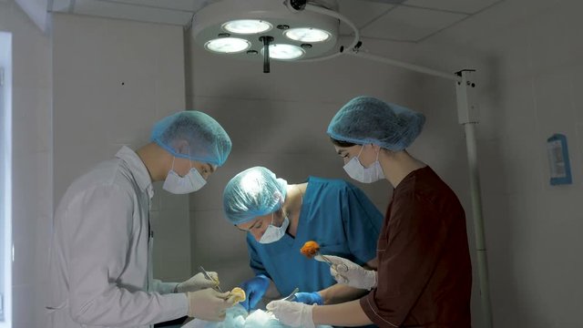 Surgeons are operating. Resuscitation medicine team wearing masks holding medical tools