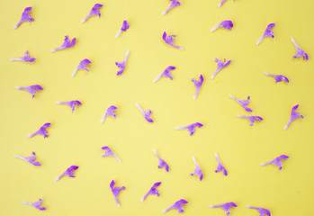 Floral background frame made of pink flowers and purple buds on a yellow background. Flat lay, top view floral background.