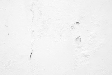 White Peeling Paint Concrete Wall Texture Background Suitable for Presentation and Web Templates with Space for Text.
