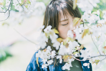Fototapeta premium 桜と女性
