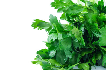 Fresh green parsley on white background