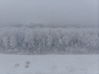 Obraz na płótnie Canvas Field and white frozen trees in fog in winter, aerial view from the high