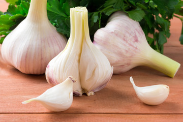 Young ripe garlic and green fresh parsley on a wooden table