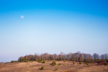 Landscape overlooking the forest and sky with the moon_