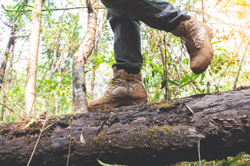 close-up hiking boots. male tourist steps on a log