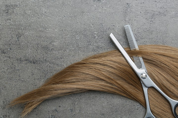 Flat lay composition with light brown hair, thinning scissors and space for text on grey...