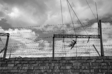Brick wall with barbed-wire and dead bird, black and white photo.