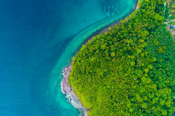 Aerial view sea beach island with green tree