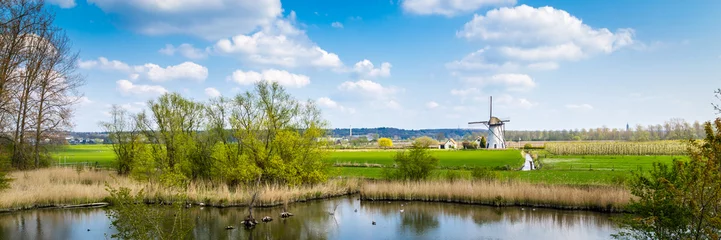 Fotobehang White Dutch windmill near Kesteren in Gelderland in the Netherland © HildaWeges