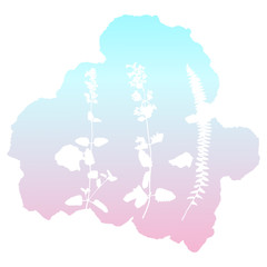 Botanical illustration with herbs, plants, flowers and leaves. Isolated white vector silhouettes on gradient background. Graphic design for background, card, web banner, poster, invitation.