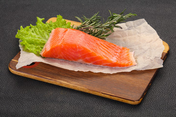 Piece of raw salmon