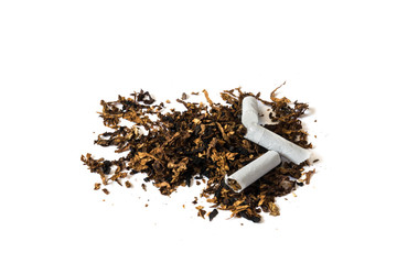 tobacco  with broken cigarette isolated on white background