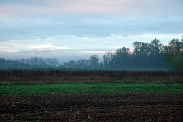 landscape with green field and blue sky