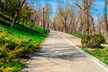 Fototapeta na wymiar walking path in the park