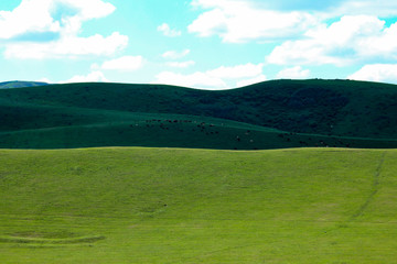 Green meadows and pasture.