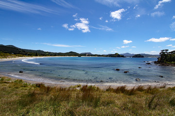 medlands beach great barrier island