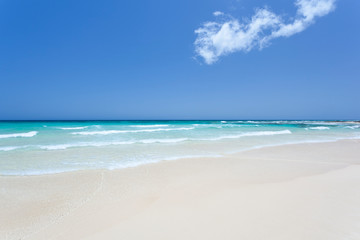 Fototapeta premium Perfect White Beach, Fuerteventura
