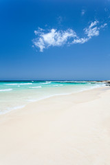 Fototapeta na wymiar Perfect White Beach, Fuerteventura