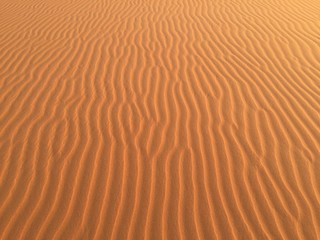 Desert Dunes, Arabian Desert, United Arab Emirates