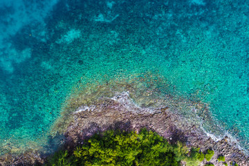Aerial view sea beach island with green tree