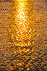 water sunset light ocean