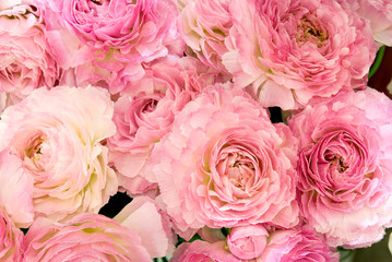 Big bunch of fresh light pink roses in bouquete close up texture background 