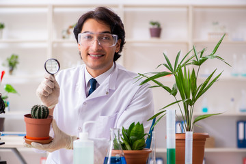 Biotechnology chemist working in lab