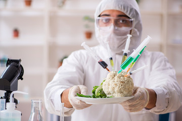 Scientist working in lab on GMO fruits and vegetables