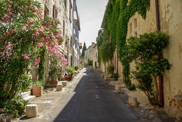 sunny alley with flowers in Villeneuve-lès-Avignon, France - obrazy, fototapety, plakaty