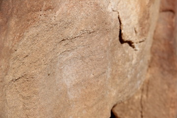 Yellow sand stone texture