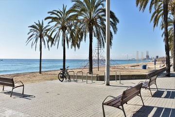 nice walk among palm trees