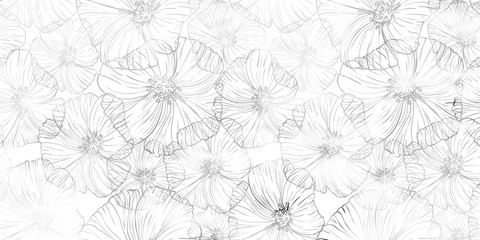 seamless patterns poppy graphic. Vector floral illustration.