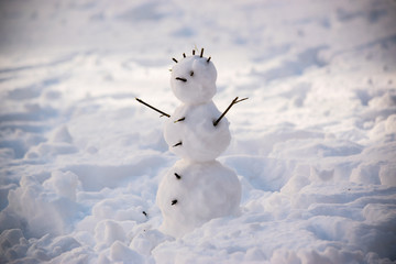 A small snowman stands in the middle of a snowy area