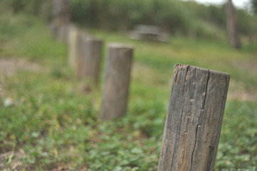 fence, nature, wood, grass, green, tree, wooden, old, park, forest, garden, trees, outdoors, rural, landscape, bench, outdoor, summer, autumn, gate, spring, natural, field, path