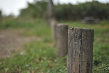 Fototapeta premium fence, nature, wood, grass, green, tree, wooden, old, park, forest, garden, trees, outdoors, rural, landscape, bench, outdoor, summer, autumn, gate, spring, natural, field, path