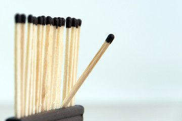rebel: a row of wooden matches ready to burn together, one match leaves row