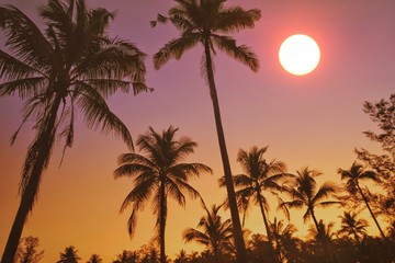 Fototapeta na wymiar tropical sunset on the beach