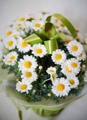 bouquet of daisies in basket on green grass