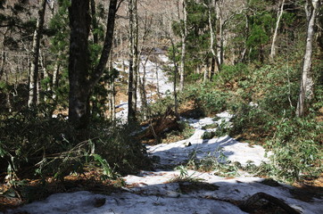 日本の山の中の残雪