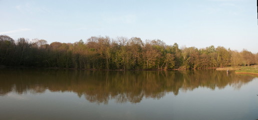 ETANG FORET