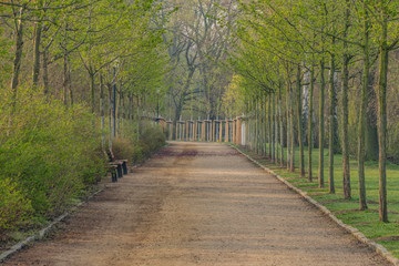 Fototapeta premium Spring sunny morning near Schwanenteich pond in Zwickau city